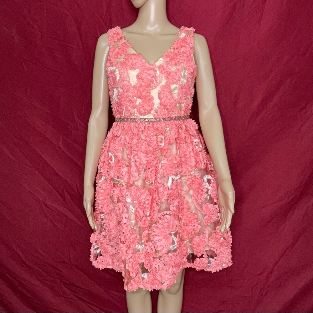 Jun & Ivy “Francesca” Fairytale 3D Floral Fit & Flare Mini Dress – Size Small